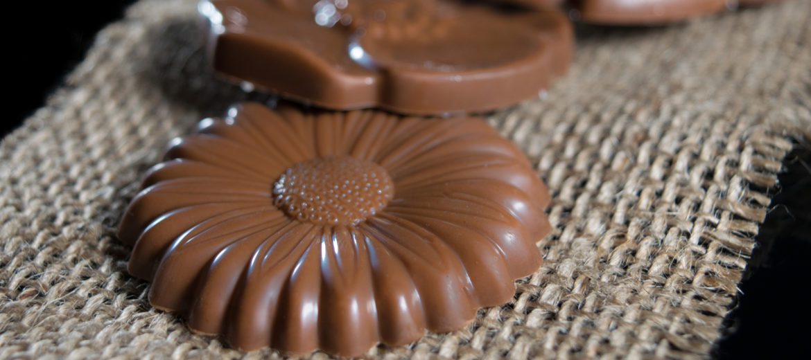 Handmade daisy in milk couverture